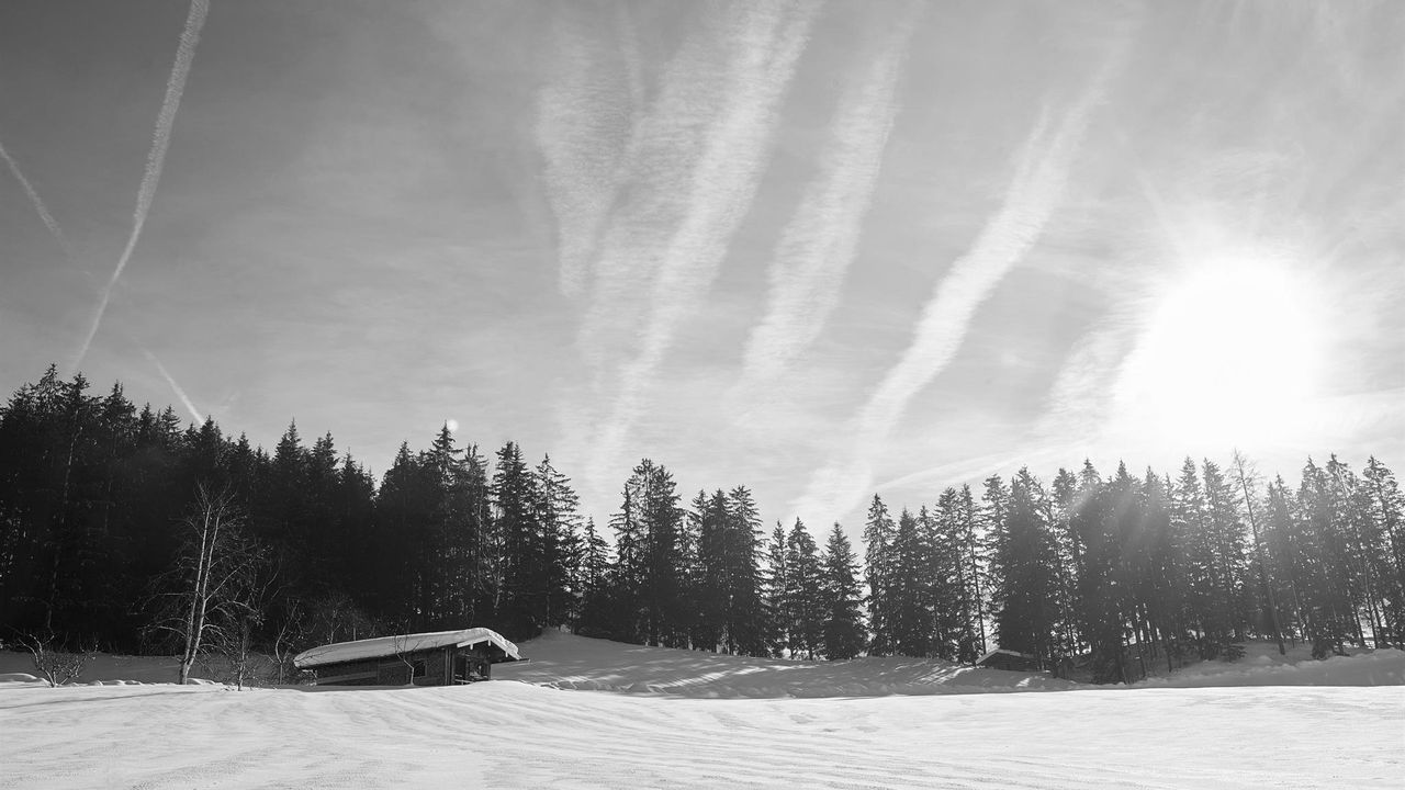 Winterlandschaft Winterlandschaft